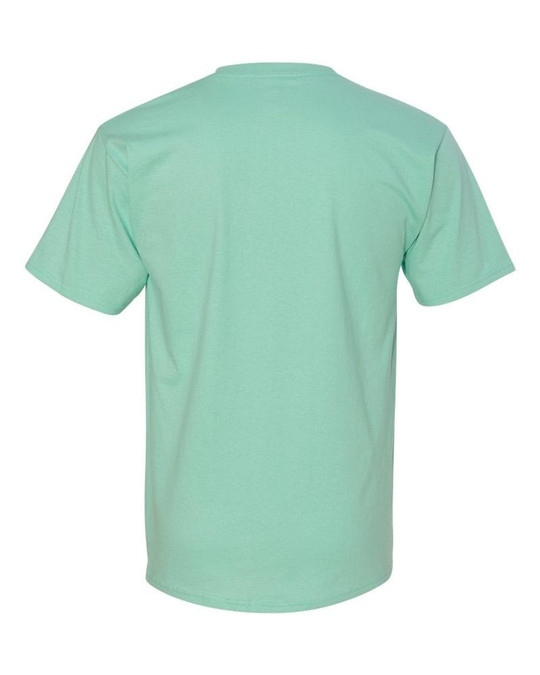 Hanes 5250 - Tagless® T-Shirt