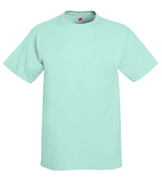 Hanes 5250 - Tagless® T-Shirt