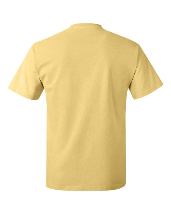 Hanes 5250 - Tagless® T-Shirt