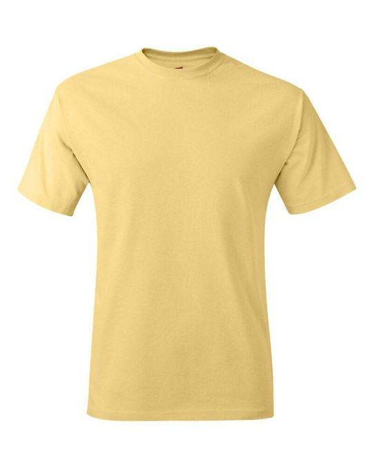 Hanes 5250 - Tagless® T-Shirt
