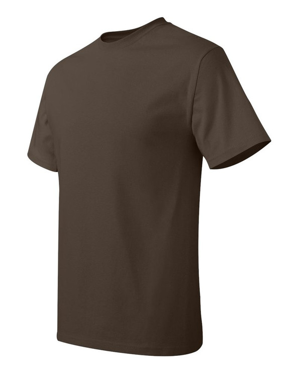 Hanes 5250 - Tagless® T-Shirt