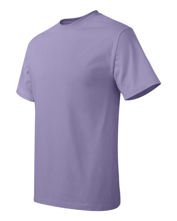 Hanes 5250 - Tagless® T-Shirt