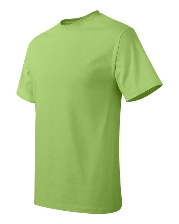 Hanes 5250 - Tagless® T-Shirt