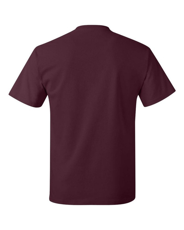 Hanes 5250 - Tagless® T-Shirt