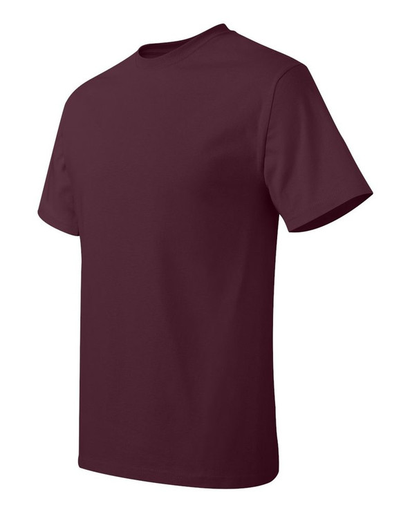 Hanes 5250 - Tagless® T-Shirt