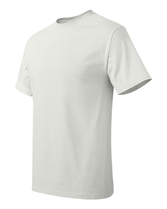 Hanes 5250 - Tagless® T-Shirt