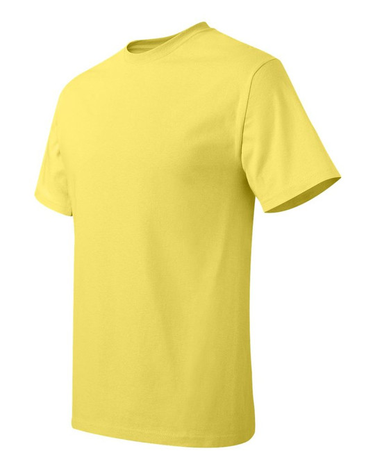 Hanes 5250 - Camiseta Tagless®