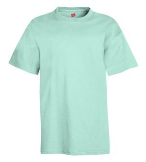 Hanes 5450 - Youth Authentic-T T-Shirt