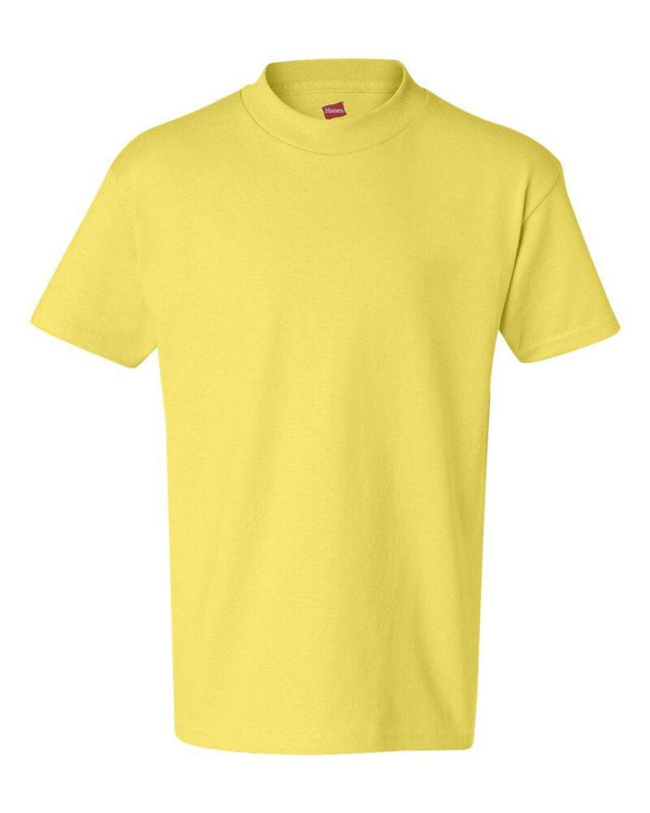 Hanes 5450 - Camiseta Youth Authentic-T