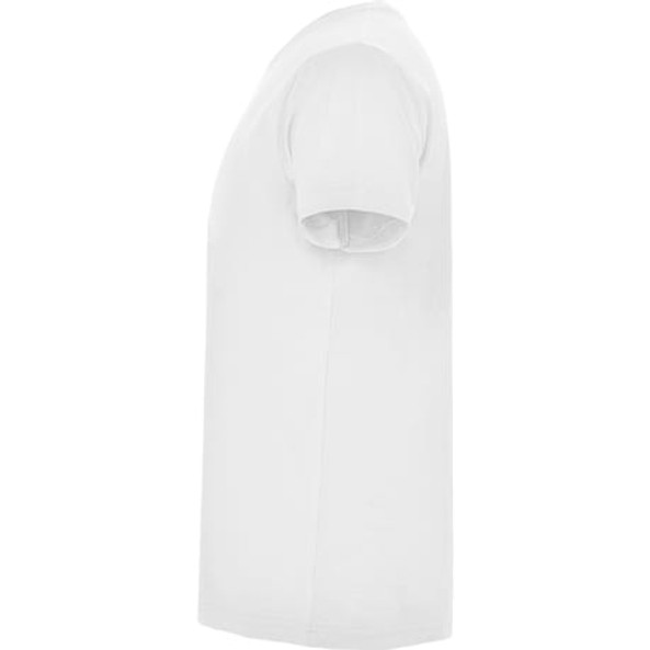 Roly CA6503 - Samoyedo