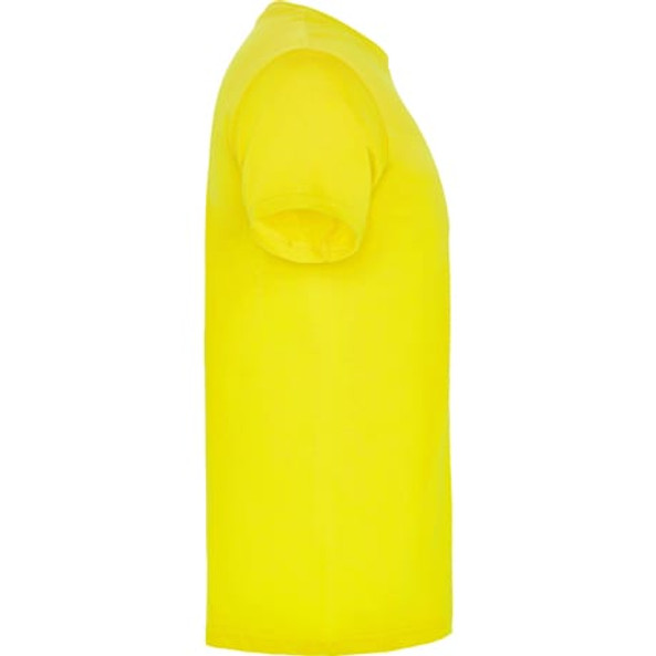 Roly CA6554 - Beagle