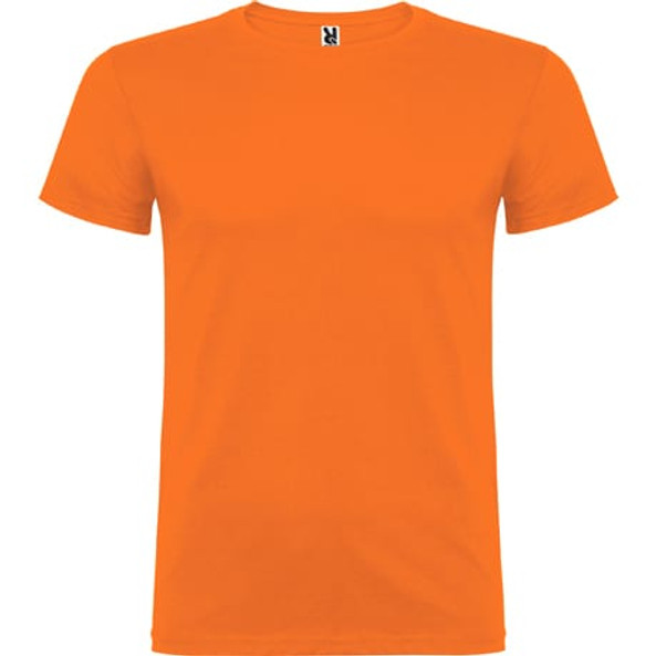 Roly CA6554 - Beagle