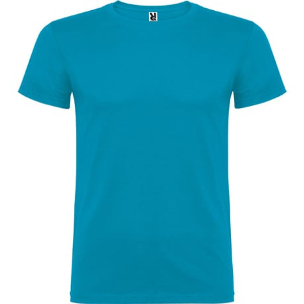 Roly CA6554 - Beagle