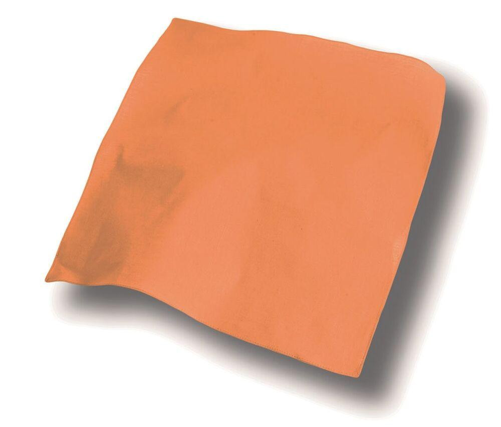 Atlantis AT014 - Bandana Goal