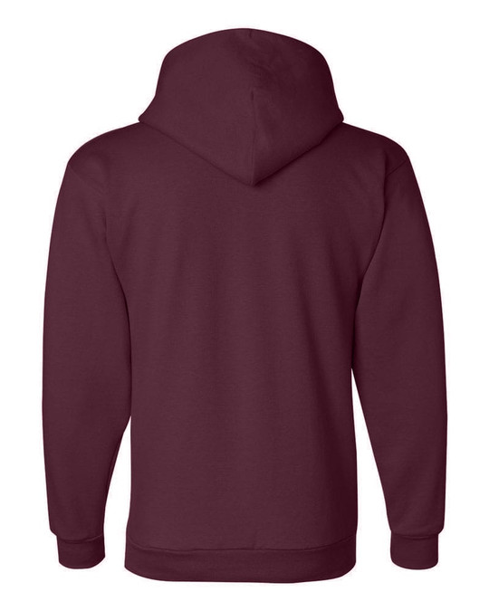 Champion S700 - Sweat à capuche écologique