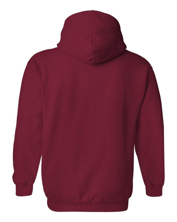 sweatshirt capuche