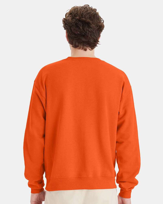 Hanes P160 - Sudadera EcoSmart® de cuello redondo