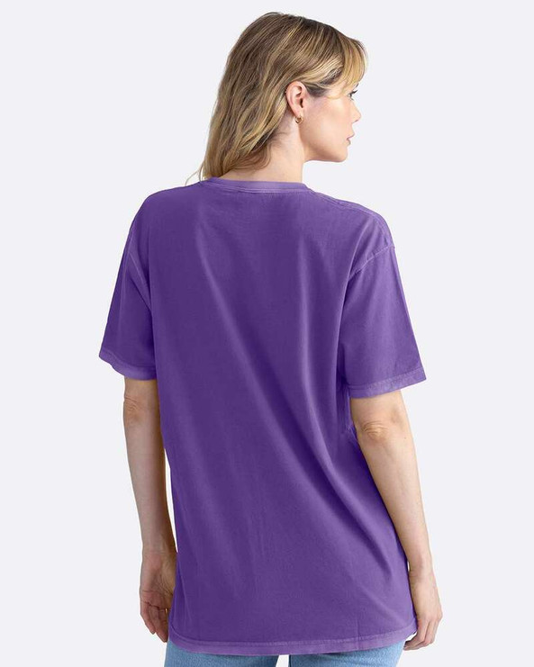 Next Level 3600SW - Soft Wash T-Shirt
