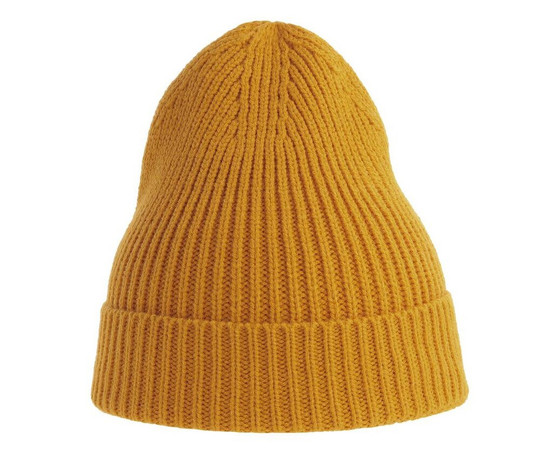 ATLANTIS HEADWEAR AT217 - Recycled polyester beanie