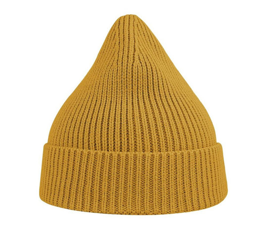 ATLANTIS HEADWEAR AT217 - Recycled polyester beanie