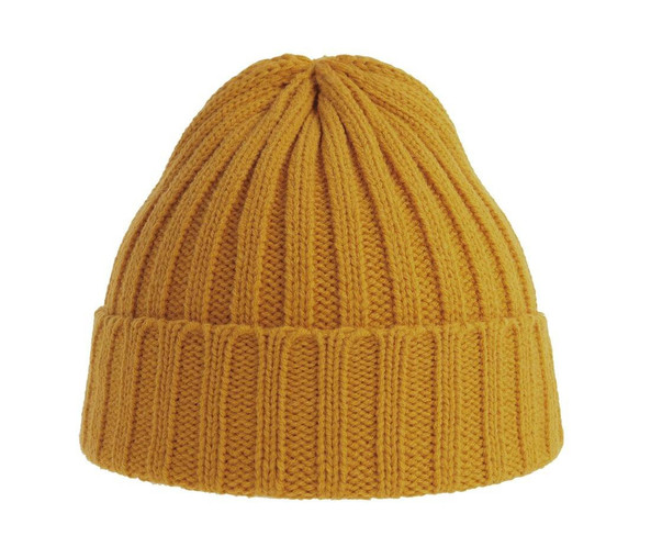 ATLANTIS HEADWEAR AT207 - Recycled polyester beanie