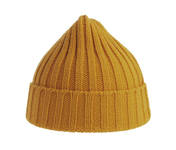 ATLANTIS HEADWEAR AT207 - Recycled polyester beanie