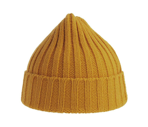 ATLANTIS HEADWEAR AT207 - Recycled polyester beanie