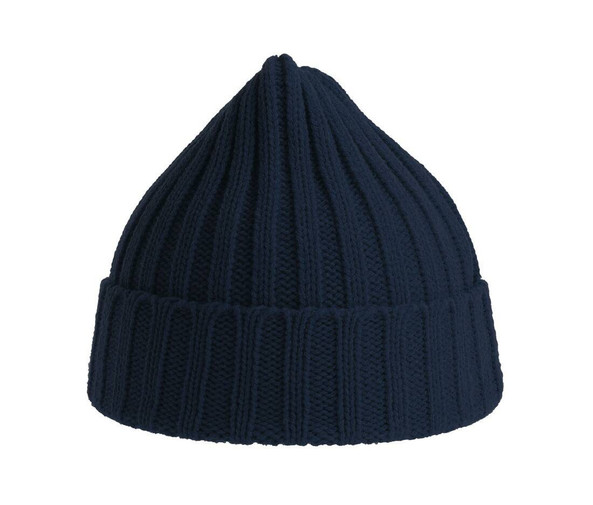 ATLANTIS HEADWEAR AT207 - Recycled polyester beanie