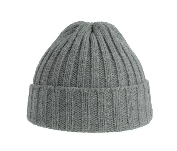 ATLANTIS HEADWEAR AT207 - Recycled polyester beanie