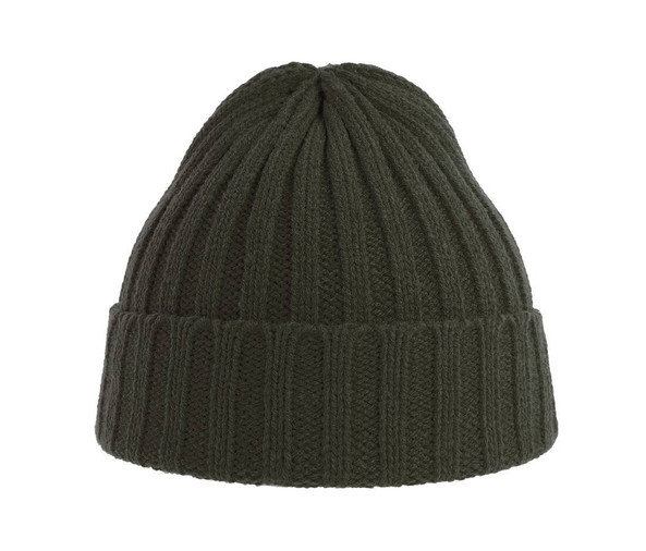 ATLANTIS HEADWEAR AT207 - Recycled polyester beanie
