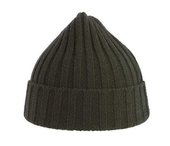 ATLANTIS HEADWEAR AT207 - Recycled polyester beanie