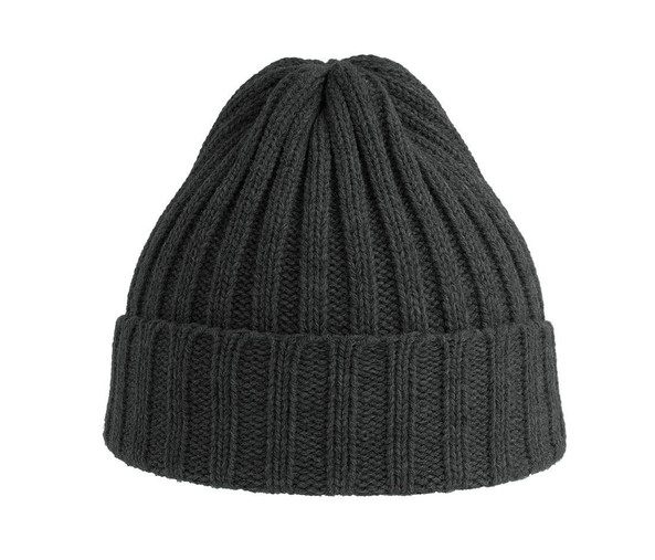 ATLANTIS HEADWEAR AT207 - Recycled polyester beanie