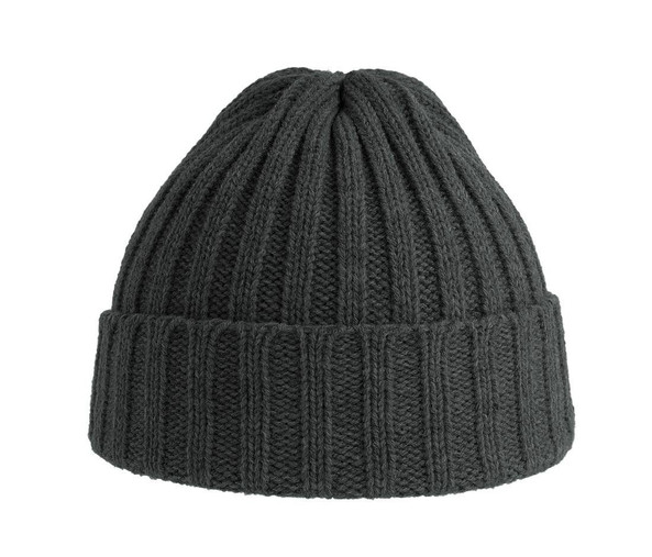 ATLANTIS HEADWEAR AT207 - Recycled polyester beanie