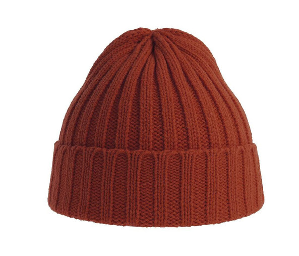 ATLANTIS HEADWEAR AT207 - Recycled polyester beanie