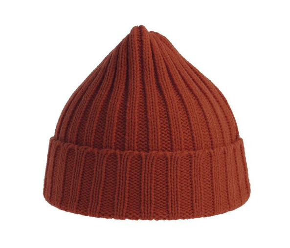 ATLANTIS HEADWEAR AT207 - Recycled polyester beanie