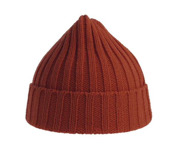 ATLANTIS HEADWEAR AT207 - Recycled polyester beanie