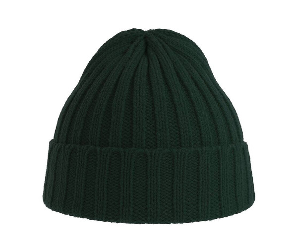 ATLANTIS HEADWEAR AT207 - Recycled polyester beanie