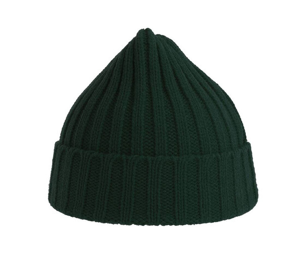 ATLANTIS HEADWEAR AT207 - Recycled polyester beanie