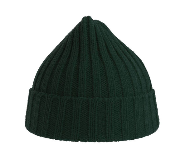ATLANTIS HEADWEAR AT207 - Recycled polyester beanie