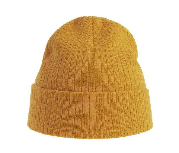 ATLANTIS HEADWEAR AT208 - Recycled polyester beanie