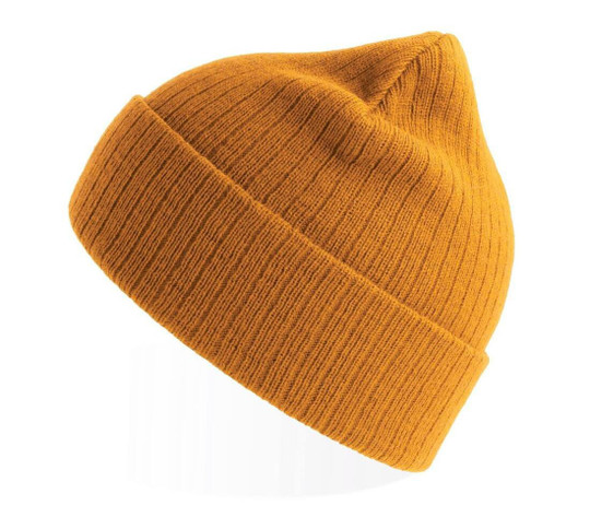 ATLANTIS HEADWEAR AT208 - Recycled polyester beanie