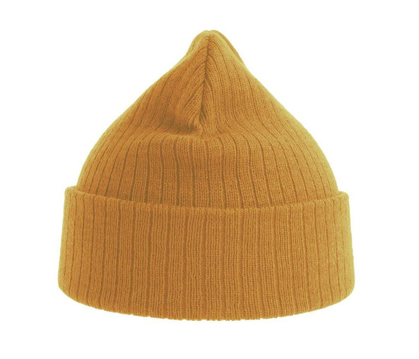 ATLANTIS HEADWEAR AT208 - Recycled polyester beanie