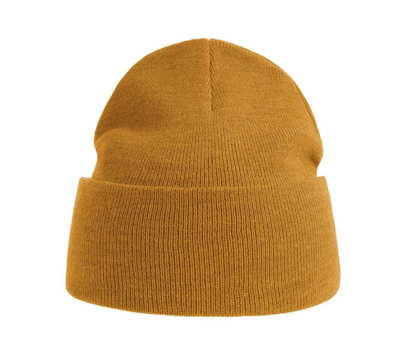 ATLANTIS HEADWEAR AT209 - Polylana® polyester beanie