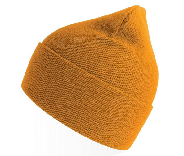 ATLANTIS HEADWEAR AT209 - Polylana® polyester beanie