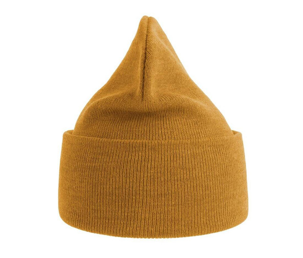 ATLANTIS HEADWEAR AT209 - Polylana® polyester beanie