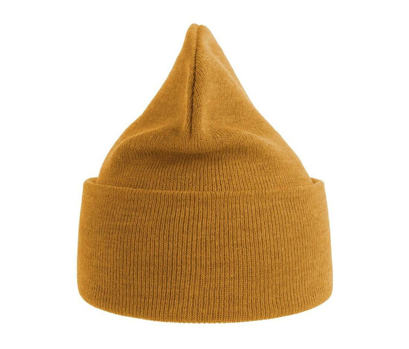ATLANTIS HEADWEAR AT209 - Polylana® polyester beanie