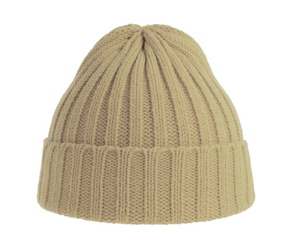 ATLANTIS HEADWEAR AT207 - Recycled polyester beanie