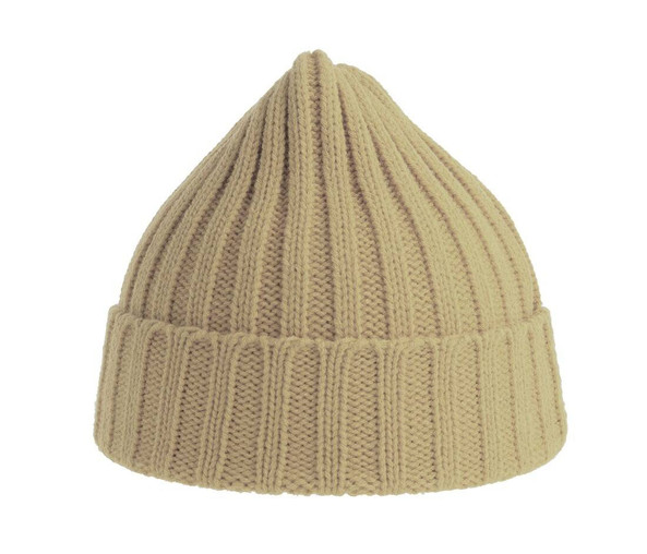 ATLANTIS HEADWEAR AT207 - Recycled polyester beanie