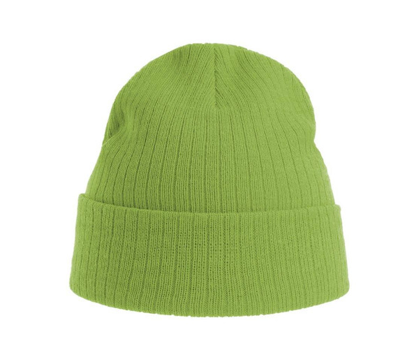 ATLANTIS HEADWEAR AT208 - Recycled polyester beanie