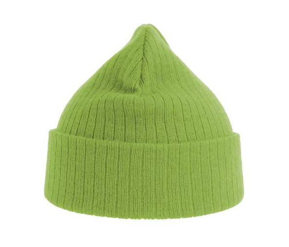 ATLANTIS HEADWEAR AT208 - Recycled polyester beanie